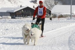 Lenk 2012 SM